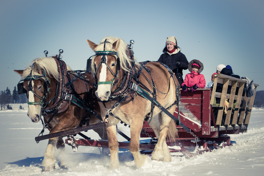 Sleigh Ride